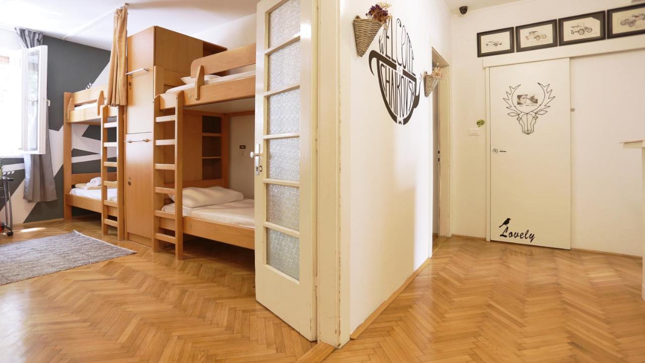 Bunk Bed Mixed Dormitory Room,1005957091:JPEG