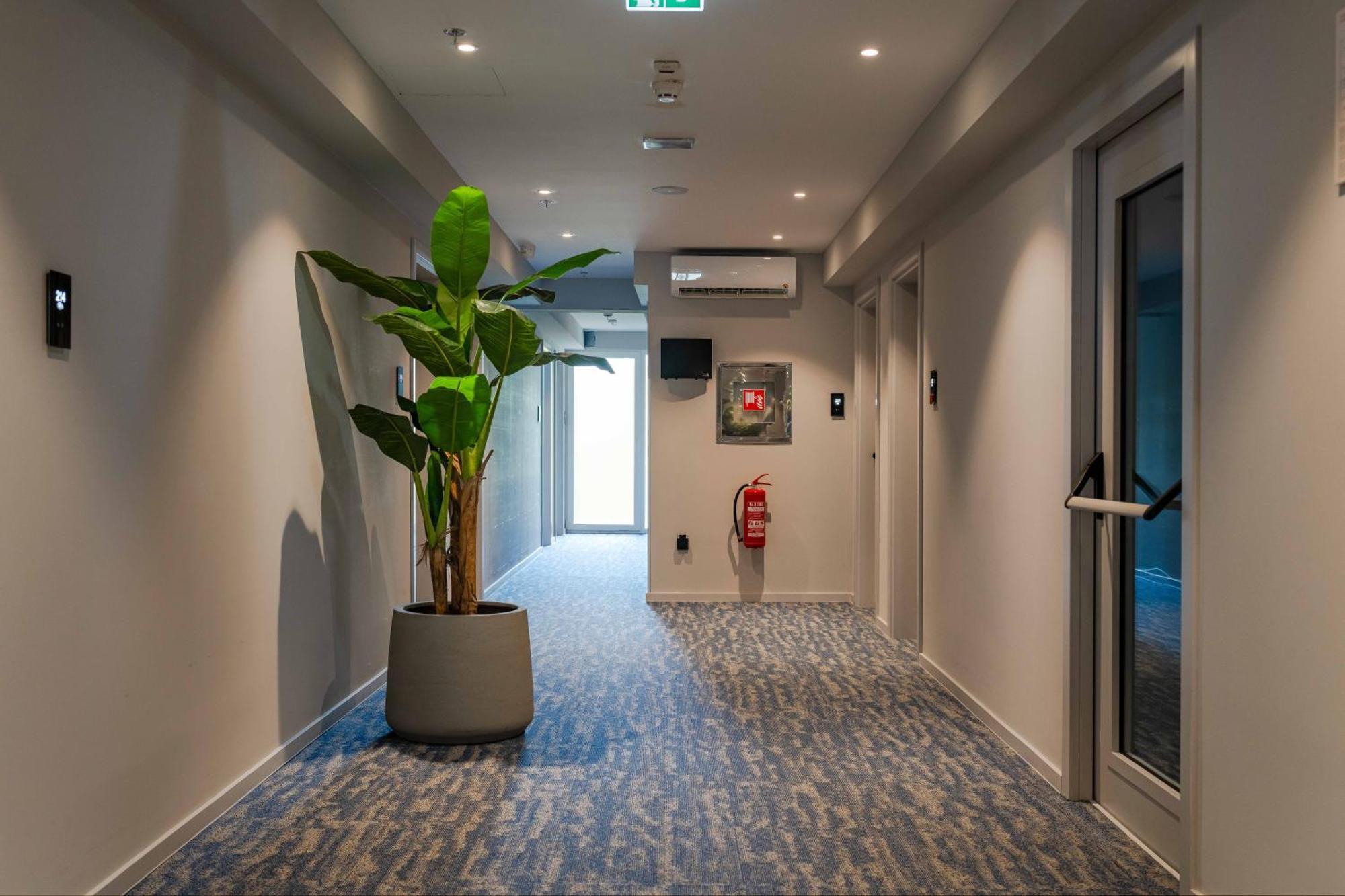 One-Bedroom Premium Apartment