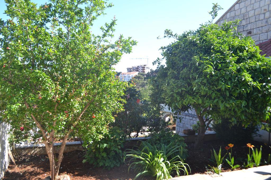 Monolocale con Vista Giardino