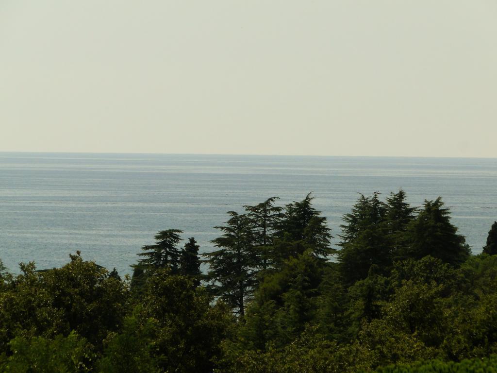 Double Room with Balcony,224018084:JPEG