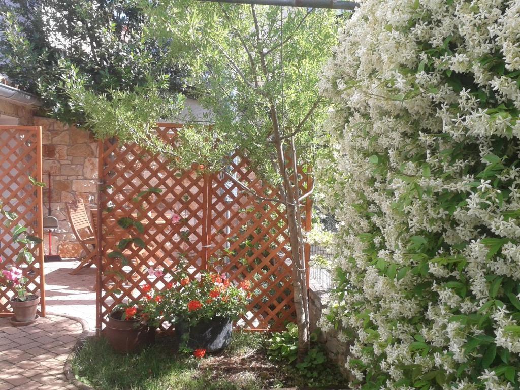 Studio Patio,1647723763:JPEG