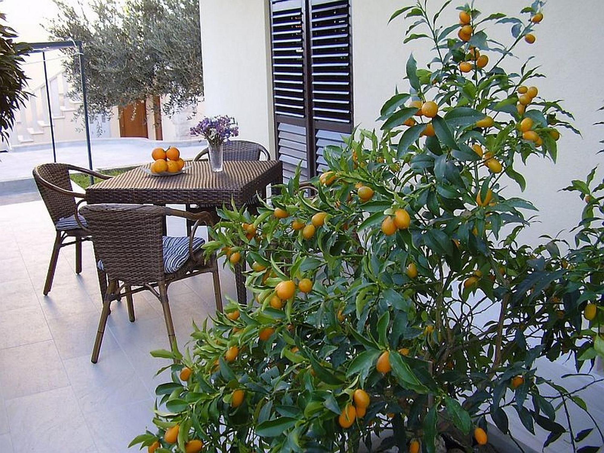 Apartamento con terraza