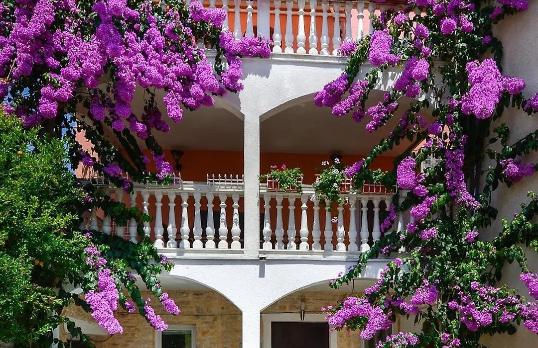 Apartments Salcinovic-1