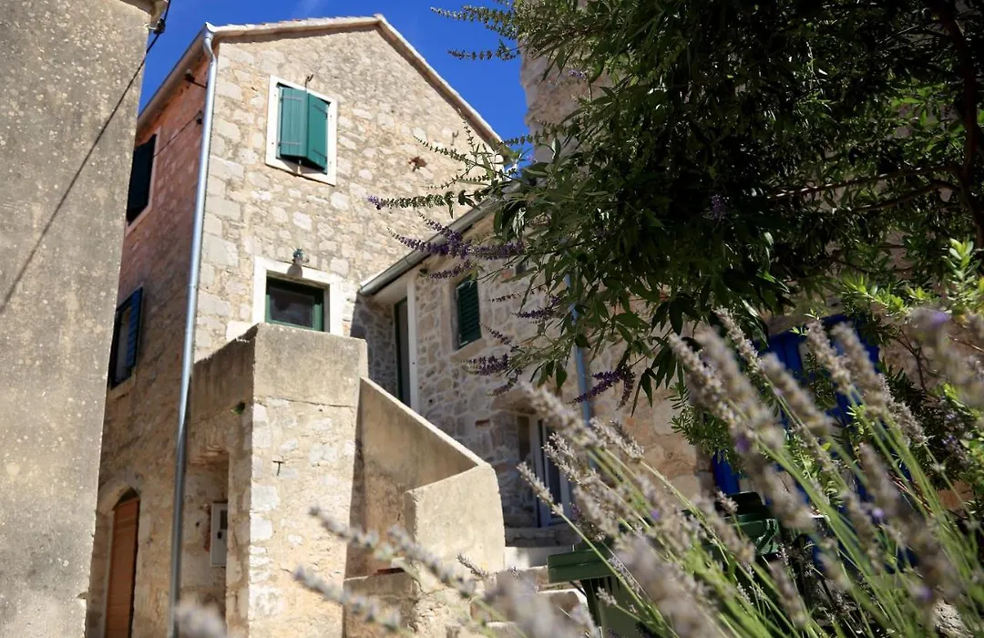 Hidden Peaceful House-1