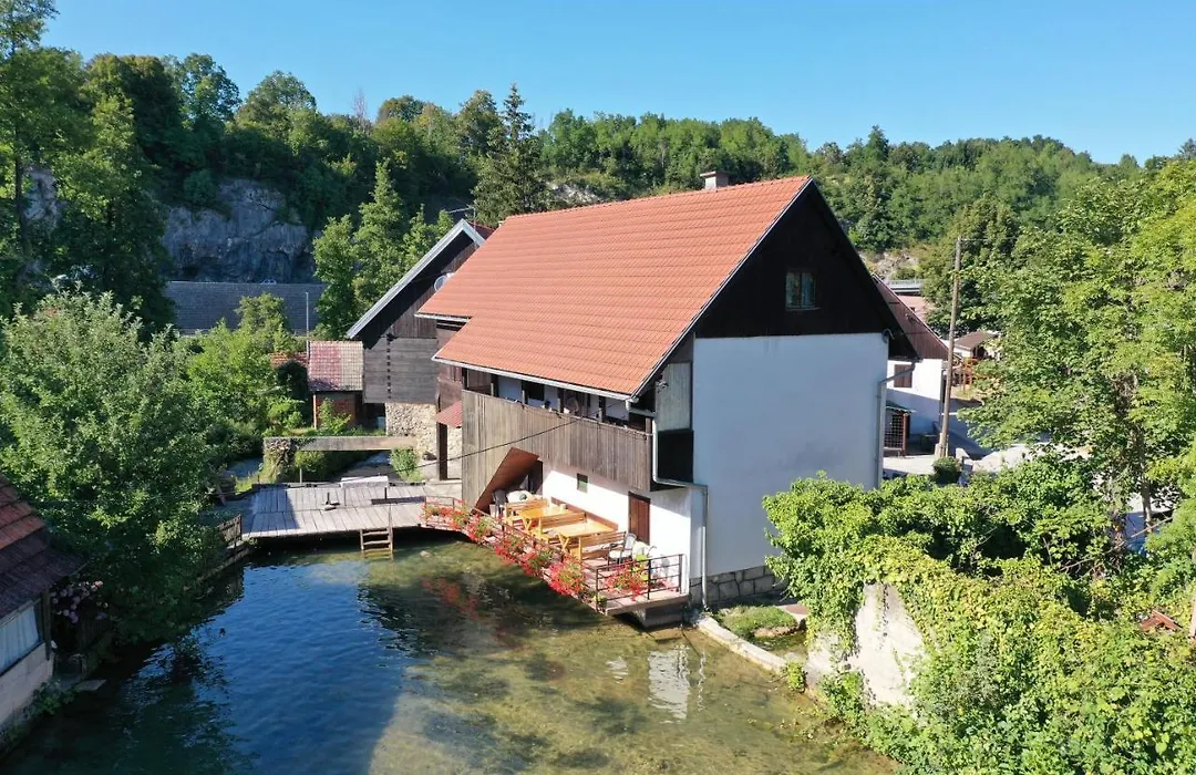 Guest House Vuceta-1