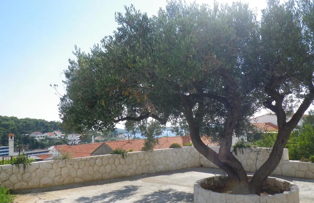 Apartments And Rooms With Parking Space Hvar - 13296-1