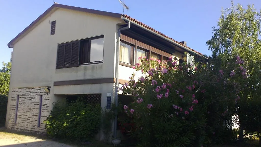 Guest House Jole-1