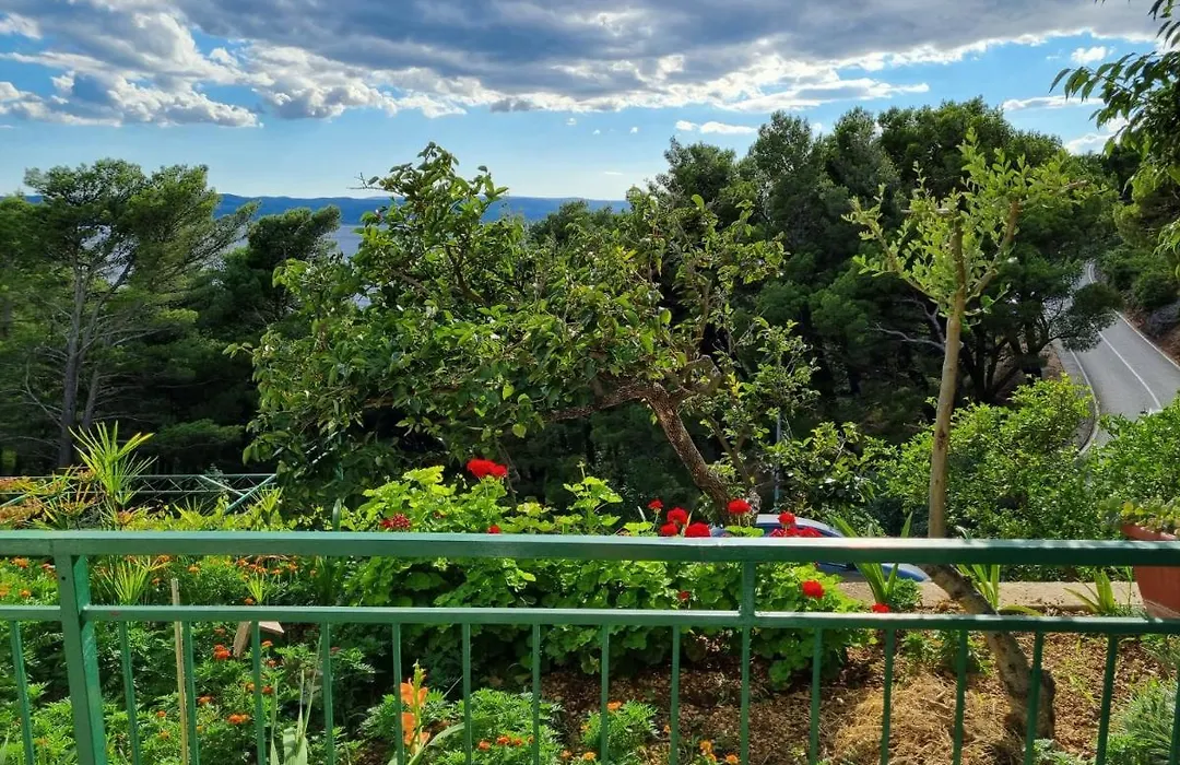 Guesthouse Dominovic-1