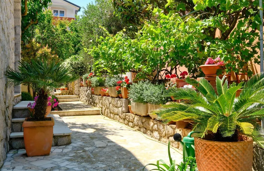 Apartman Mirjana 1-1