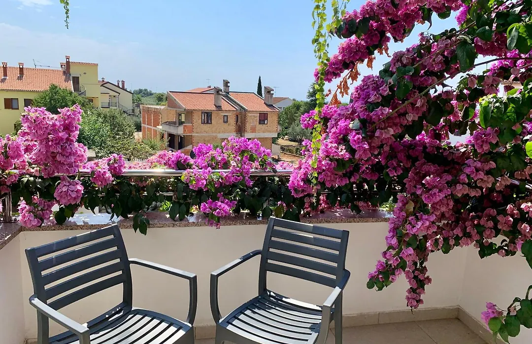 Gargamelo Pension-1