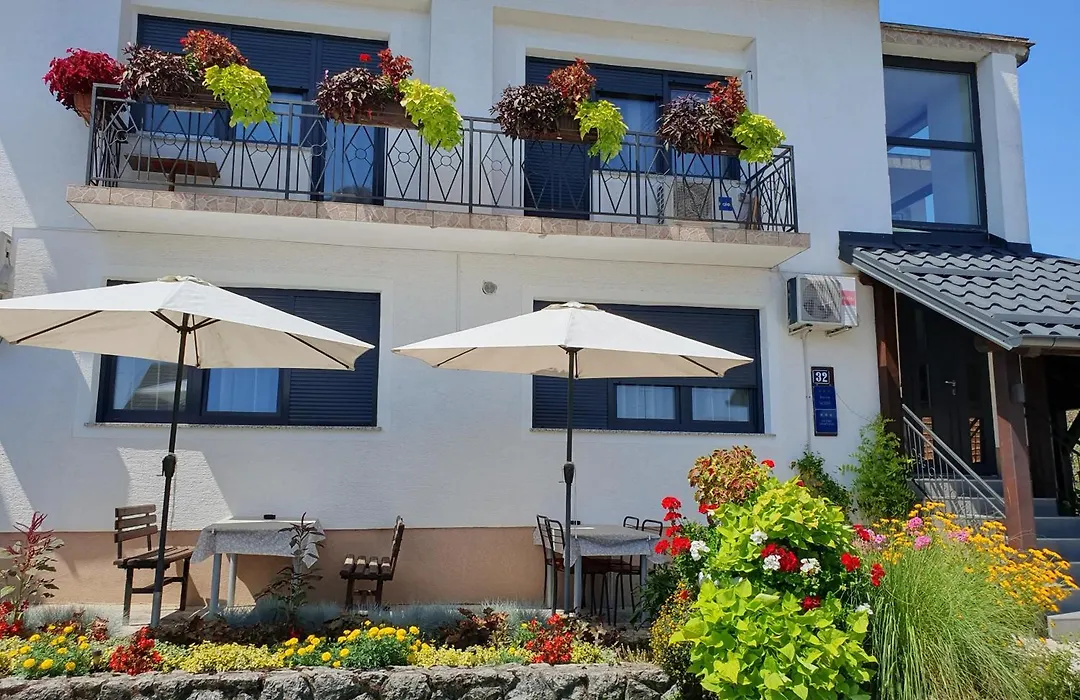Guesthouse Vila-1