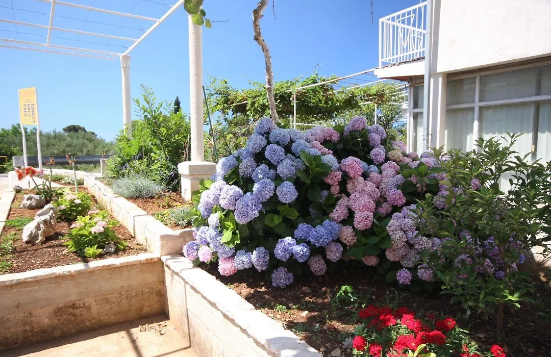 Apartments And Rooms Nikola 1-1
