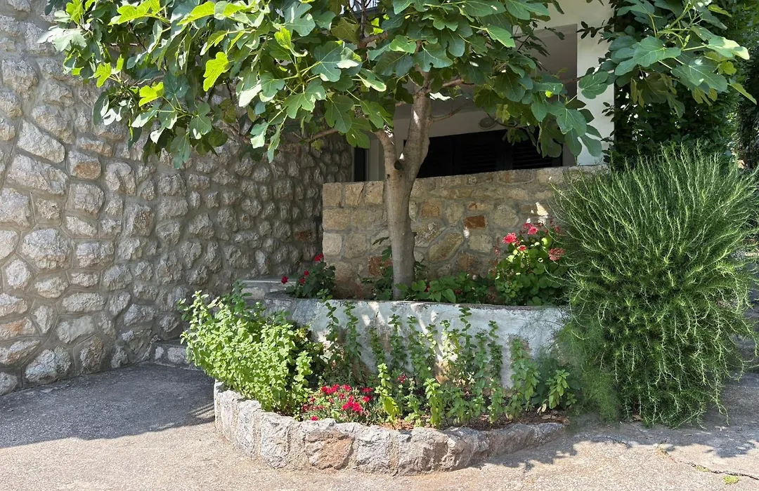 Guest House Mara-1