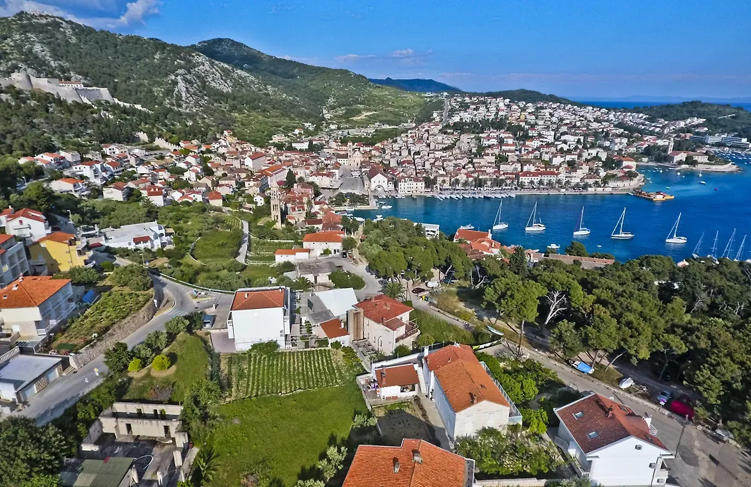 Violeta Hvar-1