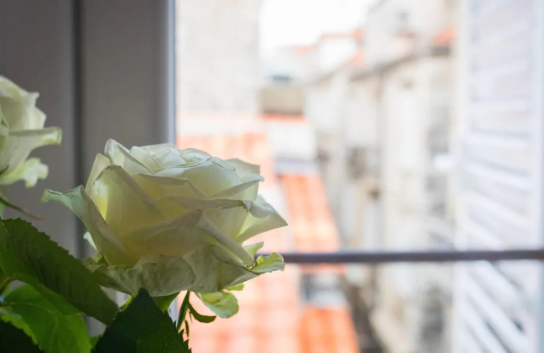Soleil Luxury Rooms Old Town-1