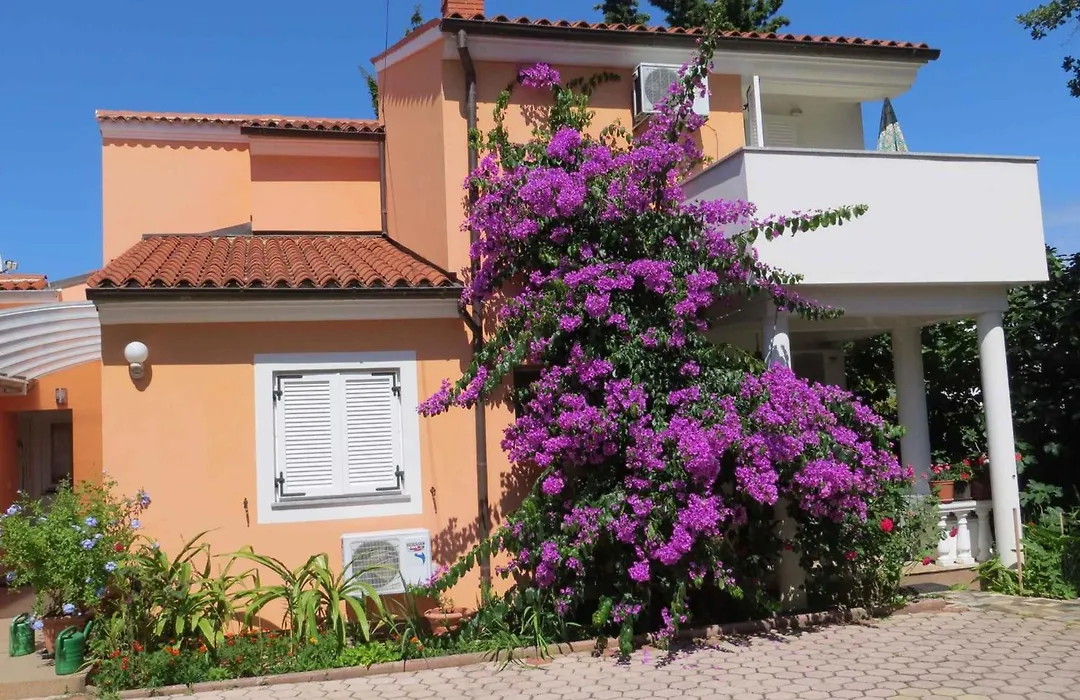 Apartments In Premantura - Istrien 34773-1