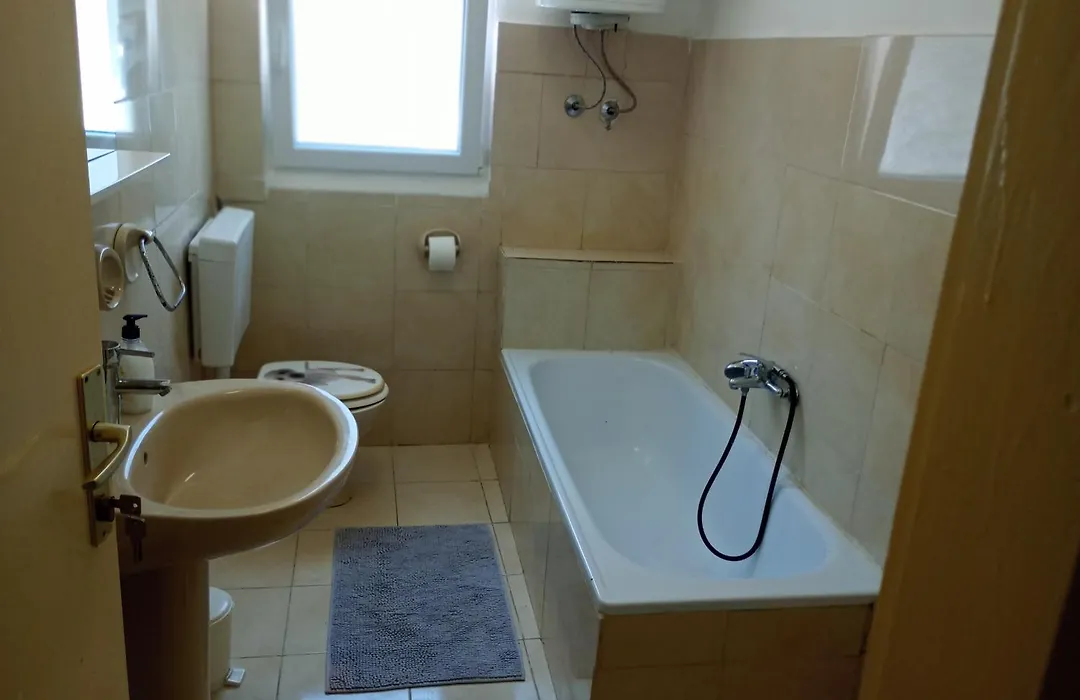 Apartments And Rooms Camelia-1