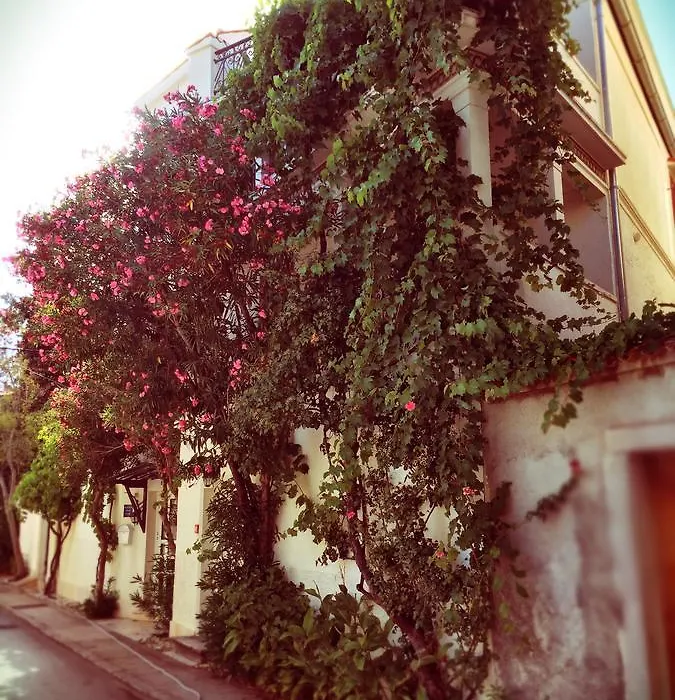 Guest House Neho-1