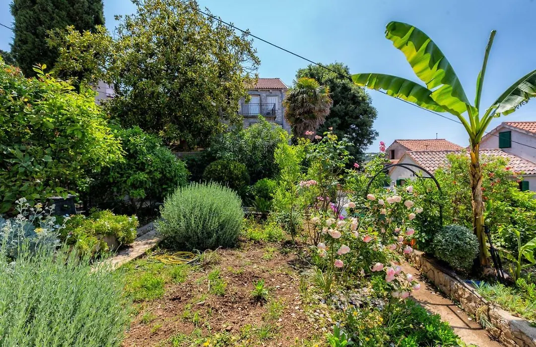 Apartments Nautica, Mali Losinj-1