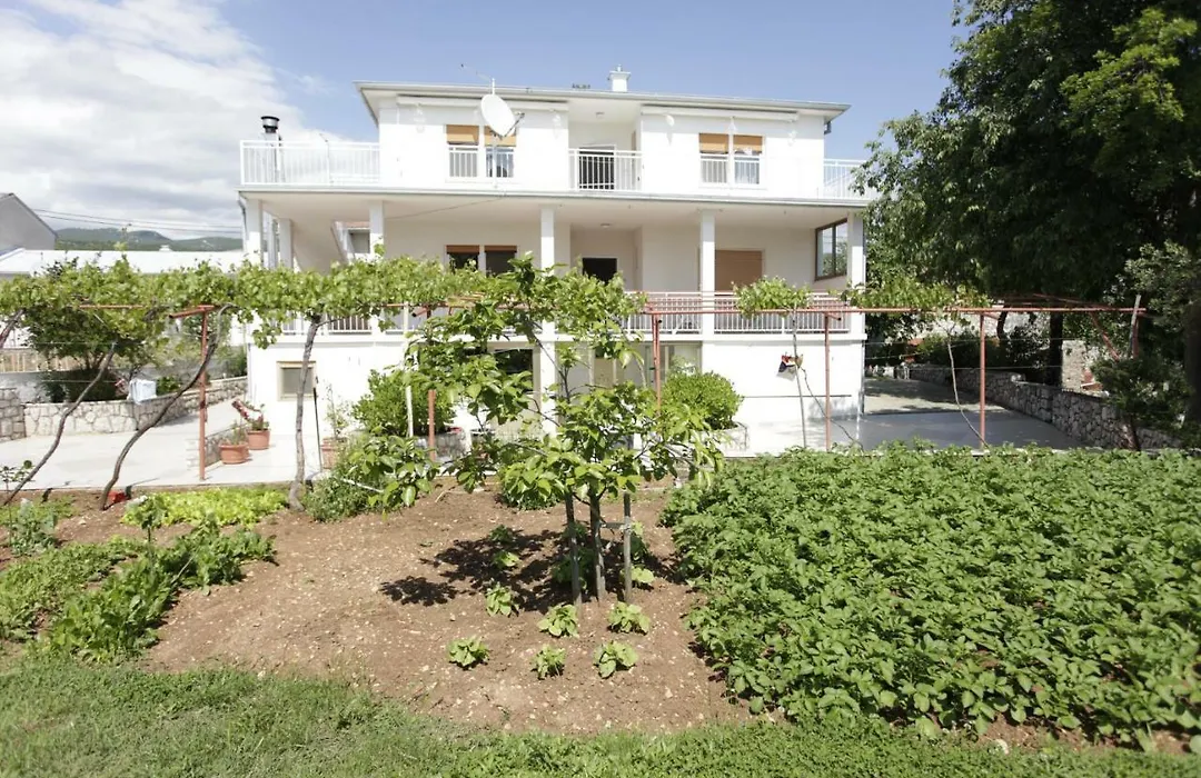 Guest House Balazevic-1