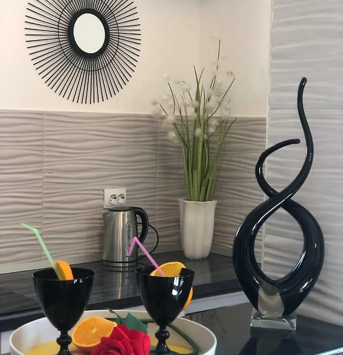 Luxury Studio Apartment Marinovic-1