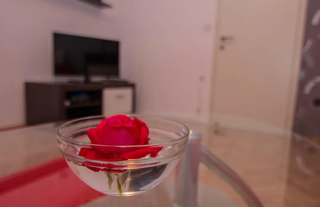 Guest House Ravnic-1