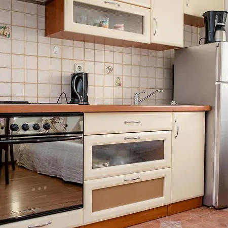 Apartments Vladimir Palit-2
