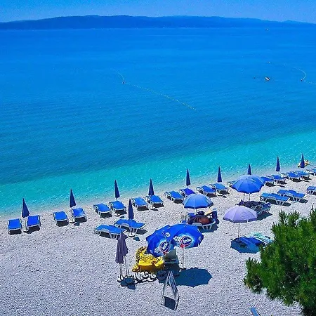Pansion Knezovic-2