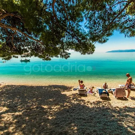 Beachfront Deluxe B&B-3