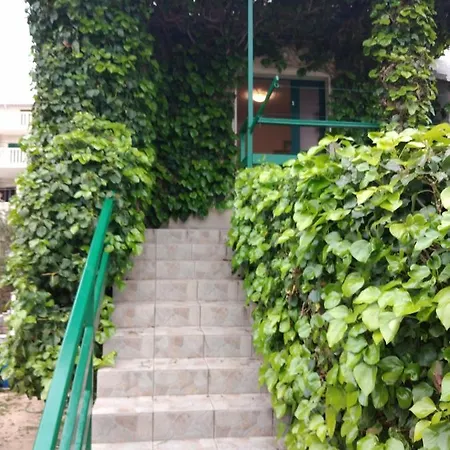 Green Oasis-2