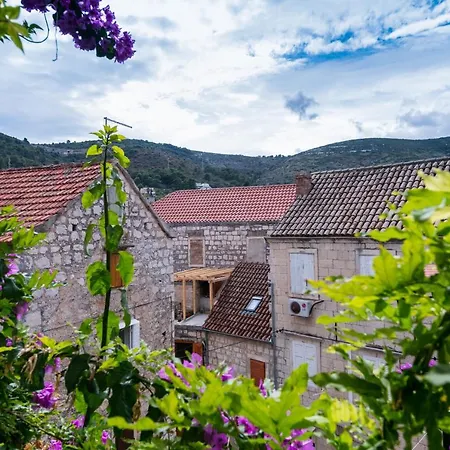 B&B Villa Vis-2