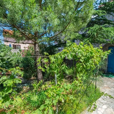 House Eva, Mali Losinj-2