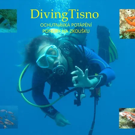 Diving Tisno-2