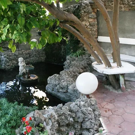 Apartments And Rooms With Parking Space Makarska - 6767-2