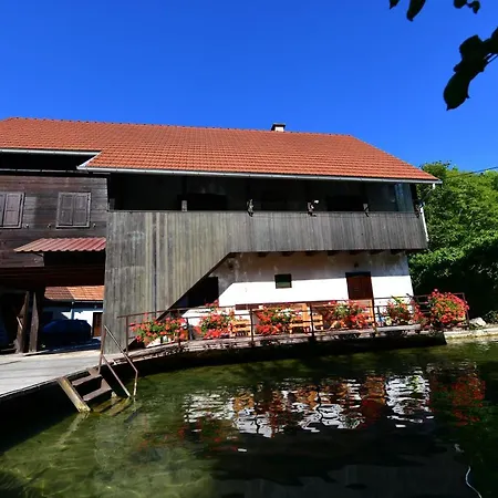 Guest House Vuceta-3