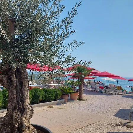 Bed & Breakfast Pino-3