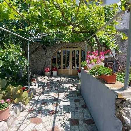Guest House Tom-2