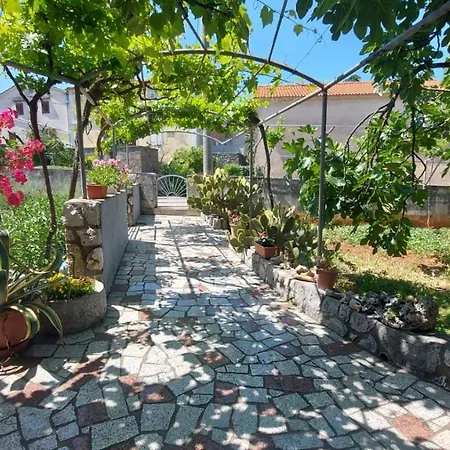 Guest House Tom-3