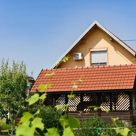 House Matijevic Simic-3