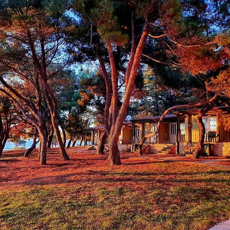Family Bungalow Pineta-3