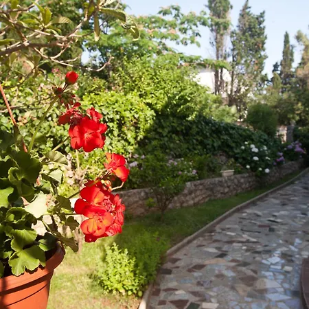 Bed & Breakfast Mario-2