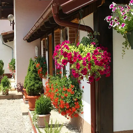Bed & Breakfast Helena-3
