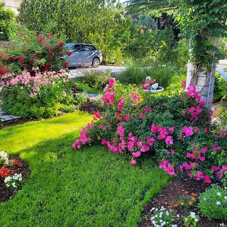 Katy-2