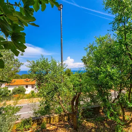 Apartments Matea, Mali Losinj-2