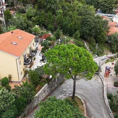 House Vali-3