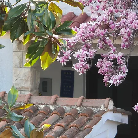 Apartments Villa Martinuzzi-3