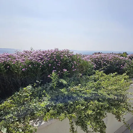 Tajla Rooms-2