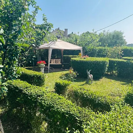 Guesthouse Mira-2