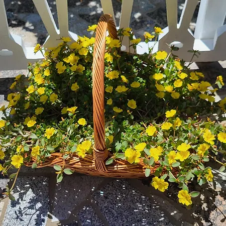 Apartmani I Sobe Mara-2