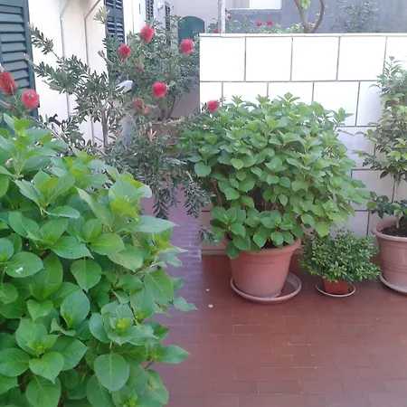 Guesthouse Anna-3